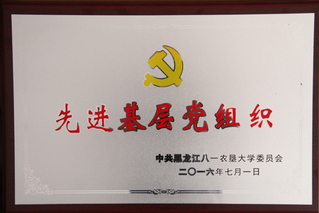 U8国际先进基层党组...